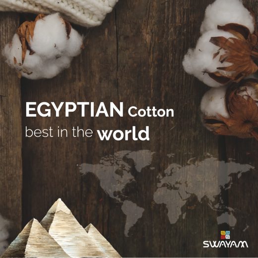 What Qualities Make Egyptian cotton best in the World