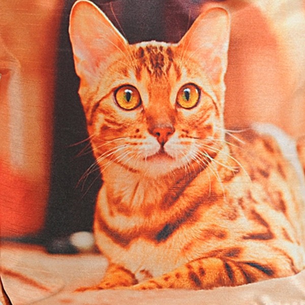 Orange Cat Animal Theme Bag- Cats-3