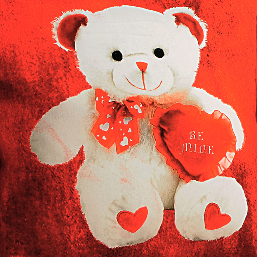 CUTE TEDDY TEENS CUSHION COVERS-209